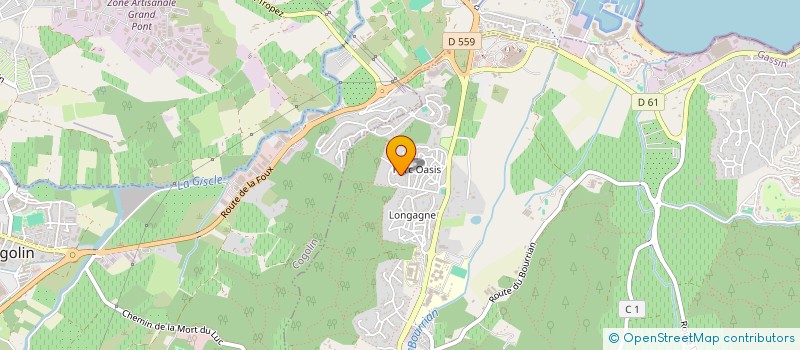 localisation de l'entreprise MADAME NATHALIE LOURENCO  GASSIN