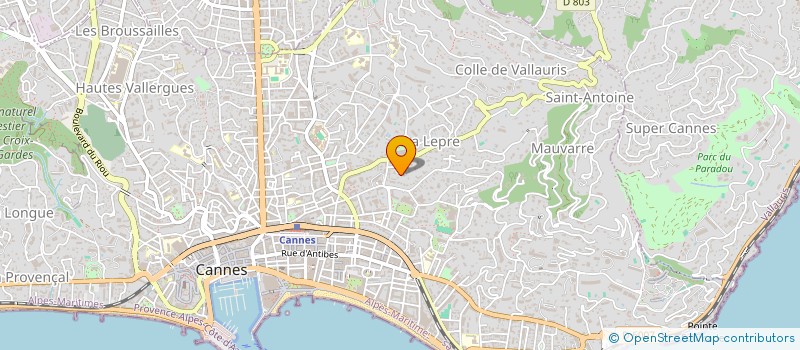 localisation de l'entreprise MADAME NATHALIE LUQUE à CANNES