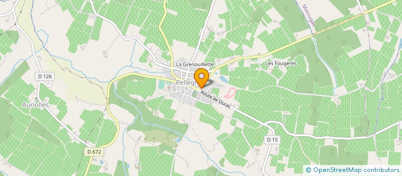 localisation de l'entreprise MADAME NATHALIE MARIE KRAWEZYNSKI  SAINT-MARTIN-SUR-LA-CHAMBRE