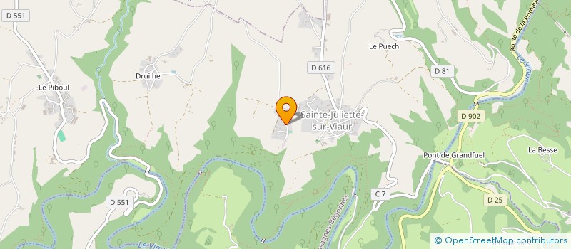 localisation de l'entreprise MADAME NATHALIE MARTY  SAINTE-JULIETTE-SUR-VIAUR