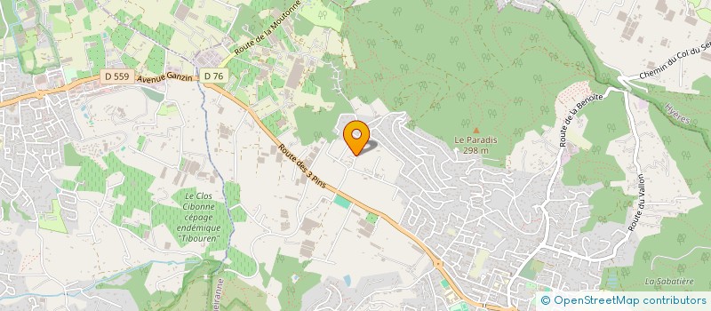 localisation de l'entreprise MADAME NATHALIE MAZEAU  CARQUEIRANNE