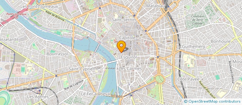 localisation de l'entreprise MADAME NATHALIE MAZEIN  TOULOUSE
