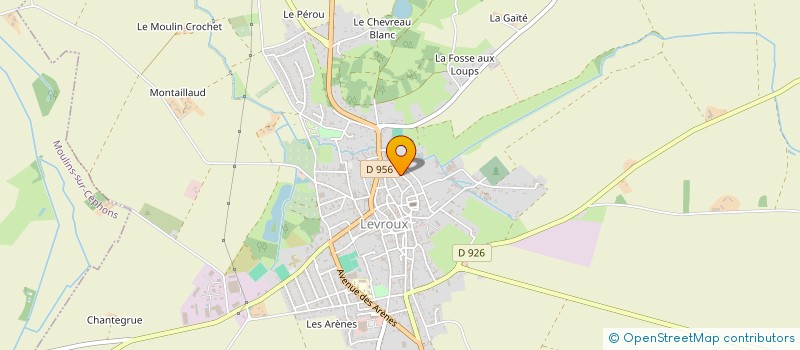 localisation de l'entreprise MADAME NATHALIE MENIN à LEVROUX