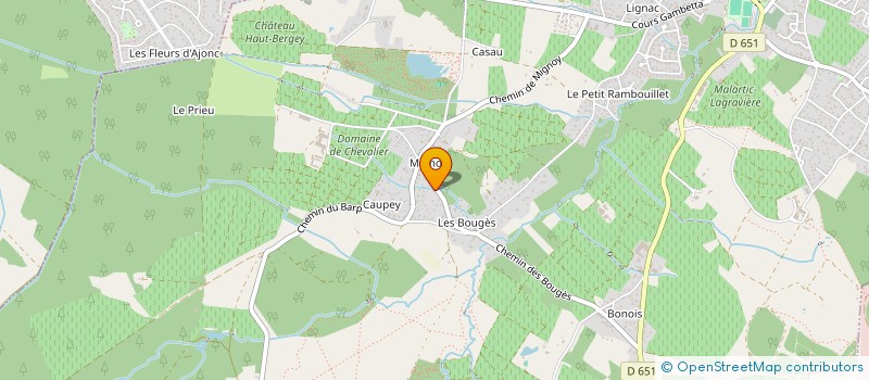 localisation de l'entreprise MADAME NATHALIE MESTRE à LEOGNAN