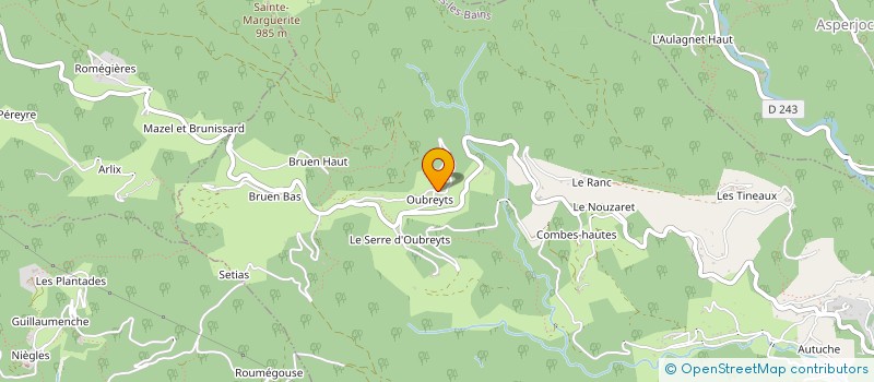 localisation de l'entreprise MADAME NATHALIE MITIFIOT à VALS-LES-BAINS