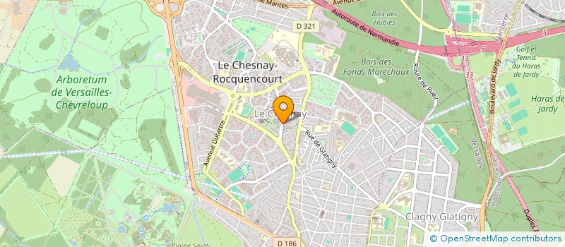 localisation de l'entreprise MADAME NATHALIE MOUSSON  LE CHESNAY-ROCQUENCOURT