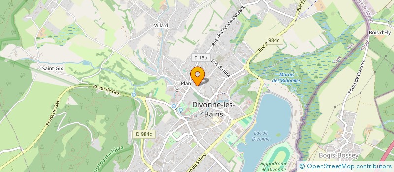 localisation de l'entreprise MADAME NATHALIE NDATA TCHEA  DIVONNE-LES-BAINS