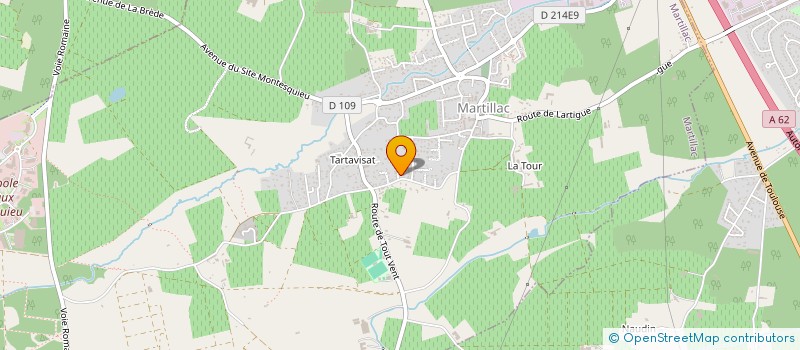 localisation de l'entreprise MADAME NATHALIE NERAUDEAU  MARTILLAC