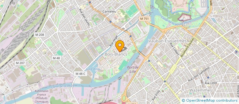 localisation de l'entreprise MADAME NATHALIE NGO MBEM à LILLE