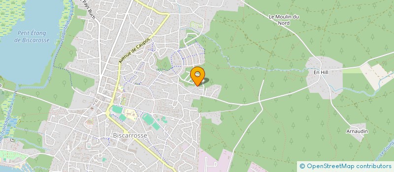 localisation de l'entreprise MADAME NATHALIE NICOLLE  BISCARROSSE