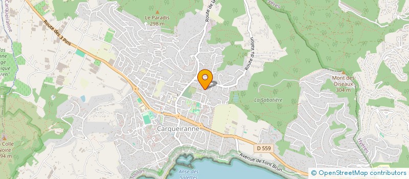 localisation de l'entreprise MADAME NATHALIE PECHEREAU  CARQUEIRANNE