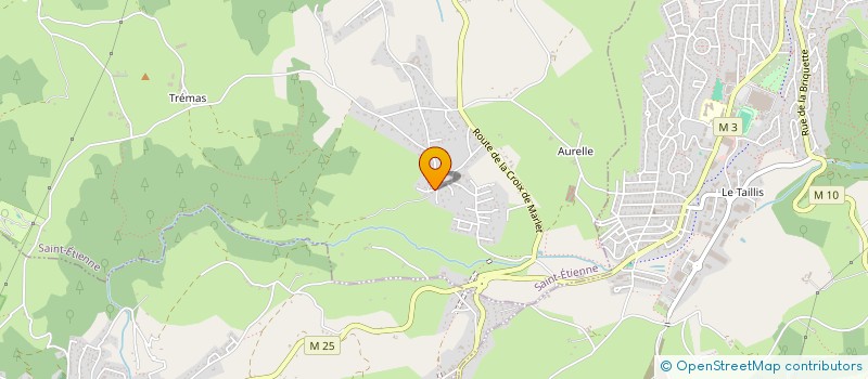 localisation de l'entreprise MADAME NATHALIE PEDANI  SAINT-ETIENNE