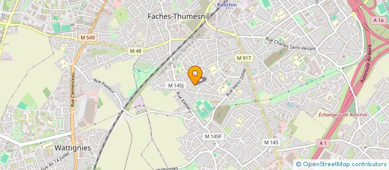 localisation de l'entreprise MADAME NATHALIE PELLETIER  FACHES-THUMESNIL