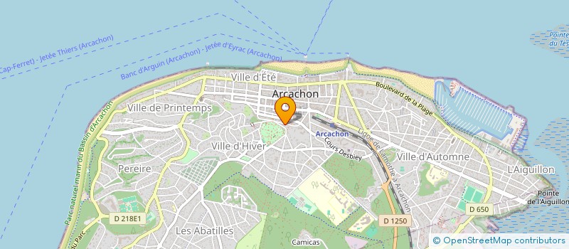 localisation de l'entreprise MADAME NATHALIE PEYNEGRE  ARCACHON