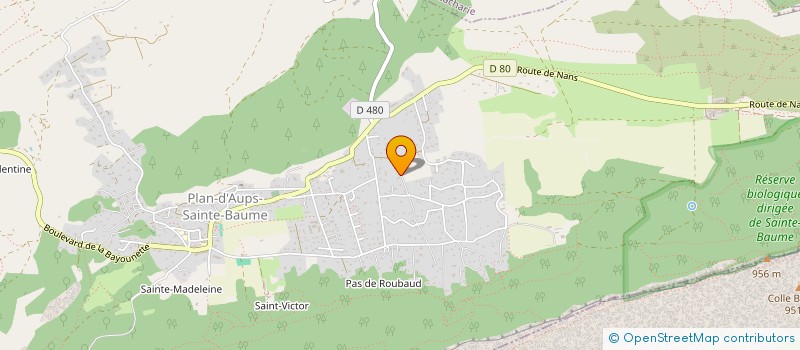 localisation de l'entreprise MADAME NATHALIE PICCININI  PLAN-D'AUPS-SAINTE-BAUME