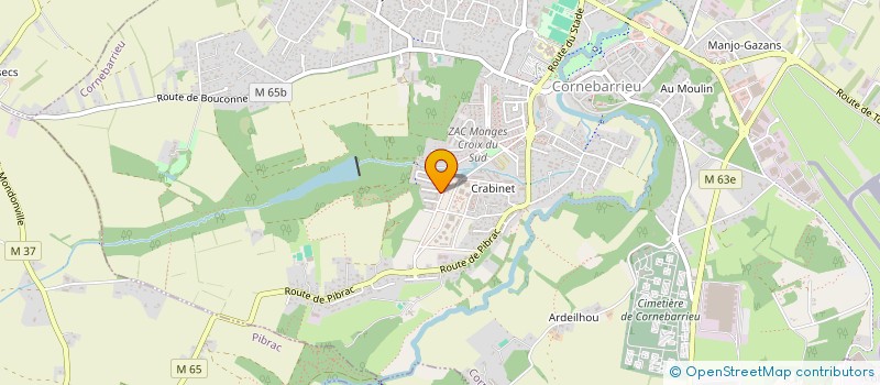 localisation de l'entreprise MADAME NATHALIE PIERRE  CORNEBARRIEU