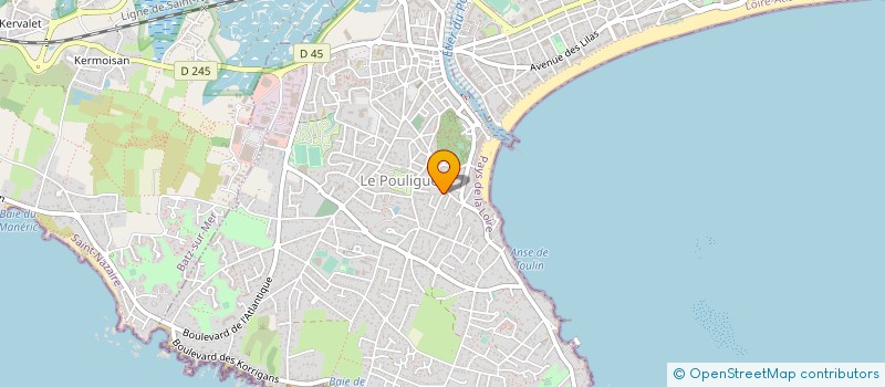 localisation de l'entreprise MADAME NATHALIE PLAYON  LE POULIGUEN