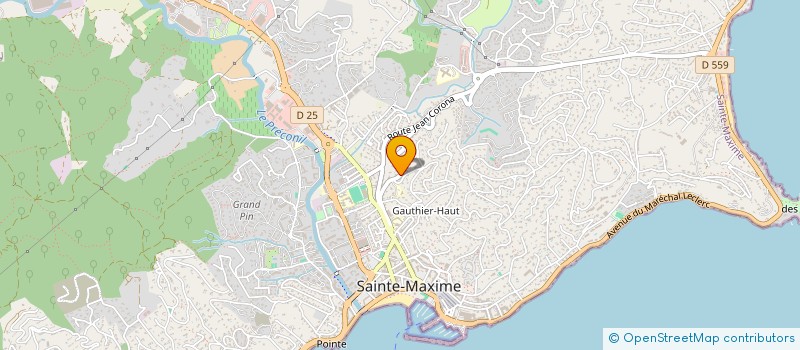 localisation de l'entreprise MADAME NATHALIE POUYAUD à SAINTE-MAXIME