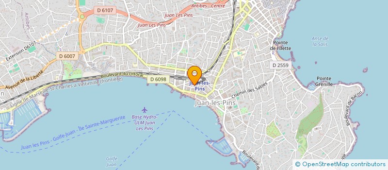 localisation de l'entreprise MADAME NATHALIE RAYE  ANTIBES