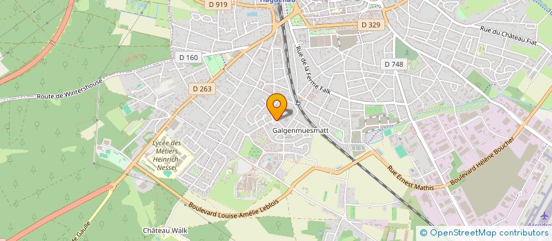 localisation de l'entreprise MADAME NATHALIE REMY  HAGUENAU