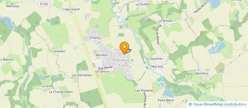 localisation de l'entreprise MADAME NATHALIE RICHARD  RIGNIEUX-LE-FRANC