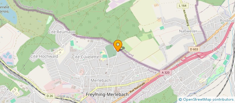 localisation de l'entreprise MADAME NATHALIE RITTER  FREYMING-MERLEBACH
