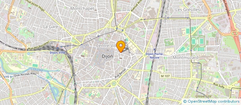 localisation de l'entreprise MADAME NATHALIE ROBERT à DIJON