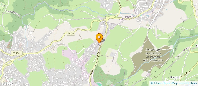 localisation de l'entreprise MADAME NATHALIE ROBIN  FIRMINY