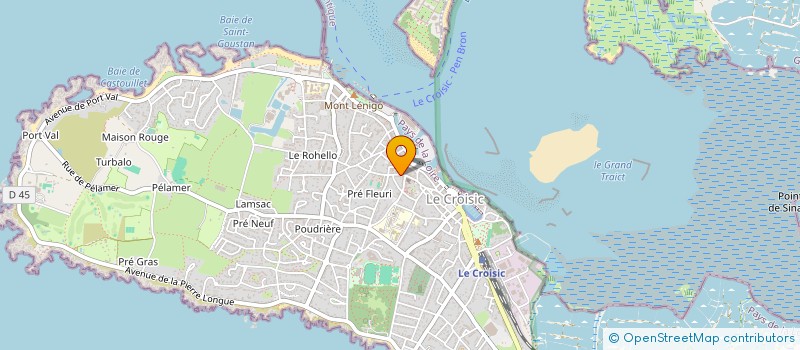 localisation de l'entreprise MADAME NATHALIE ROSENBLUM  LE CROISIC