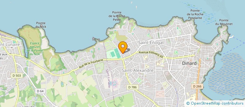 localisation de l'entreprise MADAME NATHALIE SAILLOUR  DINARD