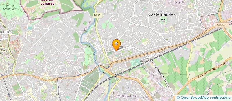 localisation de l'entreprise MADAME NATHALIE SAINT-GEOURS à CASTELNAU-LE-LEZ