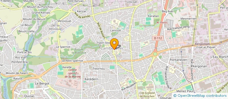 localisation de l'entreprise MADAME NATHALIE SALIOU  BREST