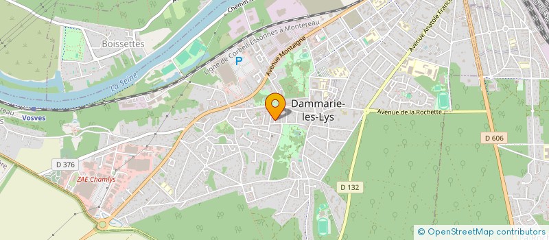 localisation de l'entreprise MADAME NATHALIE SANTOS à DAMMARIE-LES-LYS