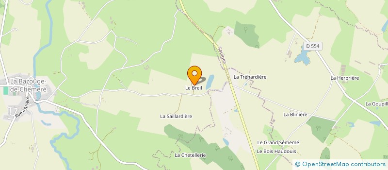 localisation de l'entreprise MADAME NATHALIE SAULOU  LA BAZOUGE-DE-CHEMERE