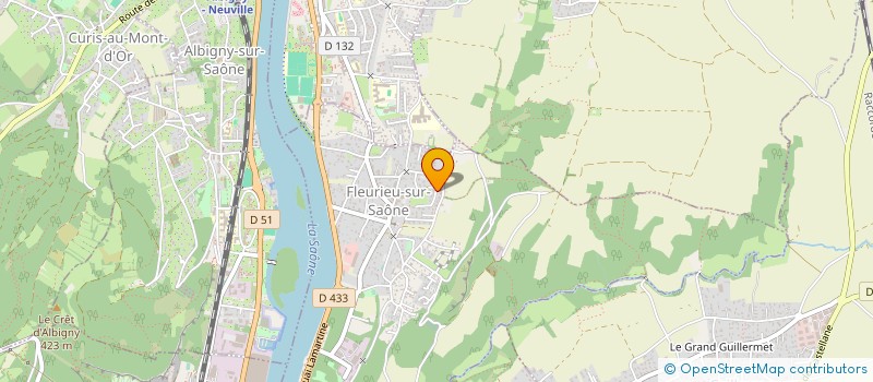 localisation de l'entreprise MADAME NATHALIE SEGAUD  FLEURIEU-SUR-SAONE