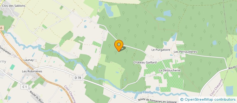 localisation de l'entreprise MADAME NATHALIE TESSON  COUR-CHEVERNY