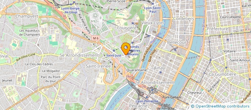 localisation de l'entreprise MADAME NATHALIE THEODORE  LYON