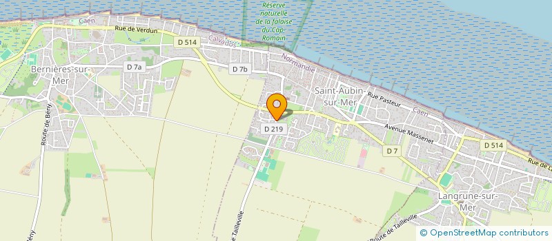 localisation de l'entreprise MADAME NATHALIE THOMAS  SAINT-AUBIN-SUR-MER