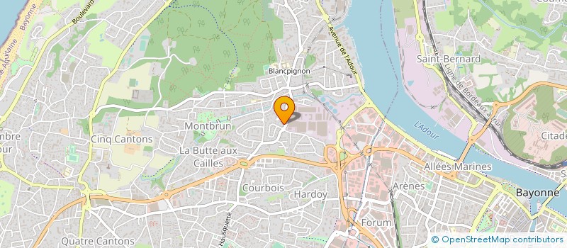 localisation de l'entreprise MADAME NATHALIE TOULEMONT  ANGLET