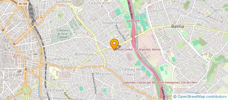 localisation de l'entreprise MADAME NATHALIE TRANIER  TOULOUSE