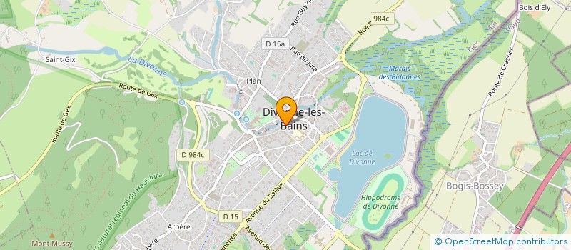 localisation de l'entreprise MADAME NATHALIE VAVRE à DIVONNE-LES-BAINS