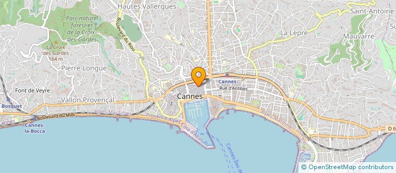 localisation de l'entreprise MADAME NATHALIE VEAUX à CANNES