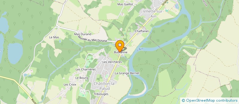 localisation de l'entreprise MADAME NATHALIE VERGIN à CHATILLON-LA-PALUD