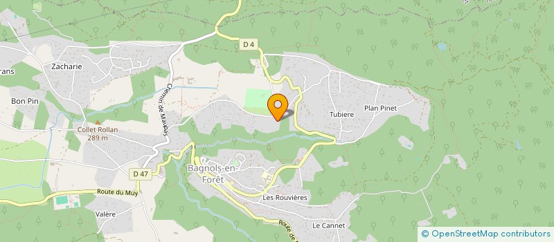 localisation de l'entreprise MADAME NATHALIE VESELY à BAGNOLS-EN-FORET