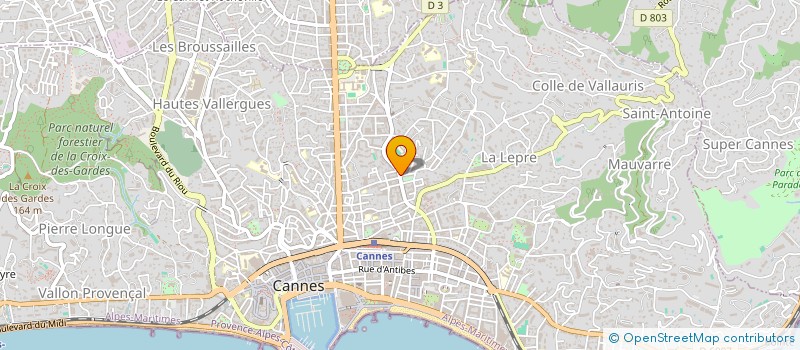 localisation de l'entreprise MADAME NATHALIE WALLET à CANNES