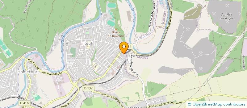 localisation de l'entreprise MADAME NATHALIE WILLEME  JUF