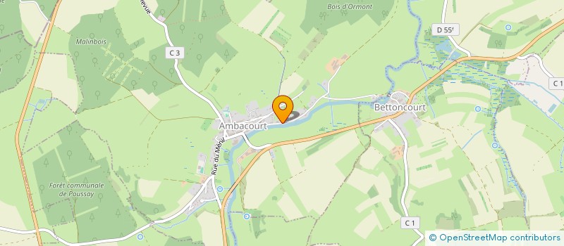 localisation de l'entreprise MADAME NATHALIE WITEK  AMBACOURT