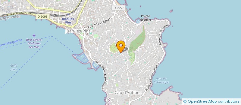 localisation de l'entreprise MADAME NAWAL AL RAMLY à ANTIBES