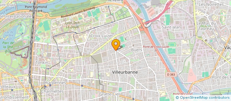 localisation de l'entreprise MADAME NAWEL SALEM  VILLEURBANNE