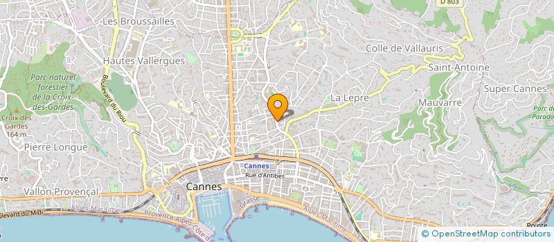 localisation de l'entreprise MADAME NAYAH DEPARIS  CANNES